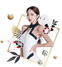 侑开始了什么梗